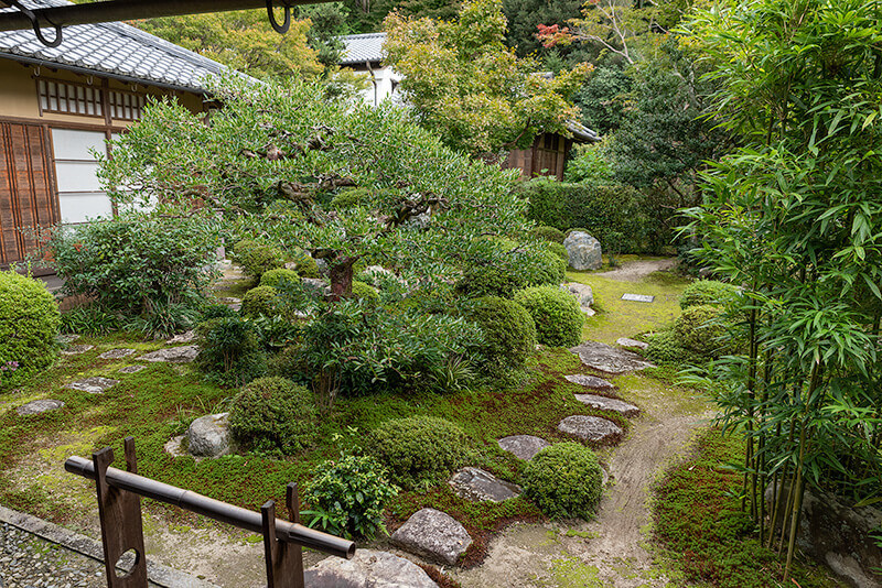 曼殊院の坪庭