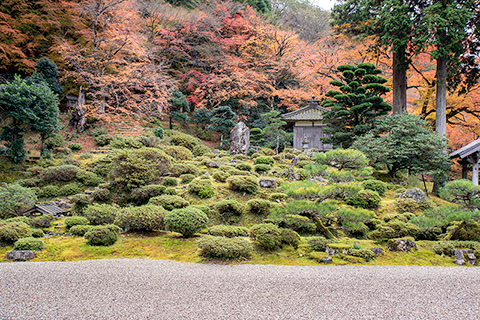 萬徳寺（万徳院）