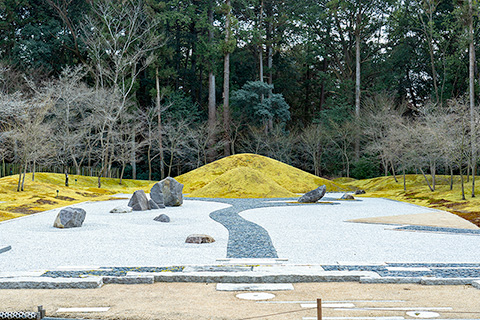 萬葉植物園 神庭