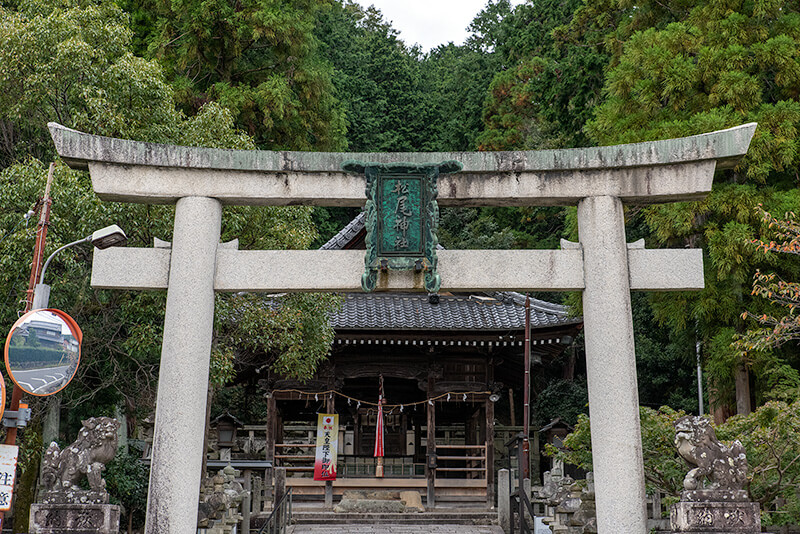 松尾神社　鳥居