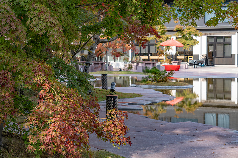 紅葉と日本庭園