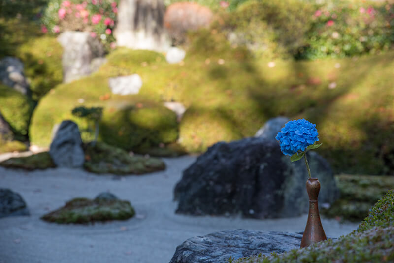 中庭園にある枯山水庭園