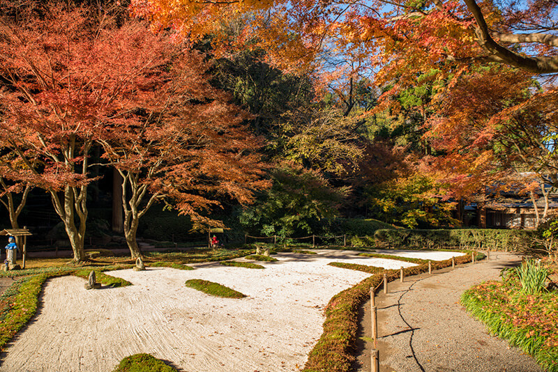 後庭園の枯山水