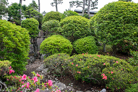 明治記念大磯邸園