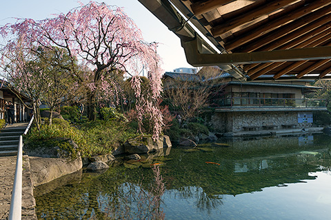 目白庭園