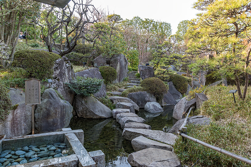 沢飛石
