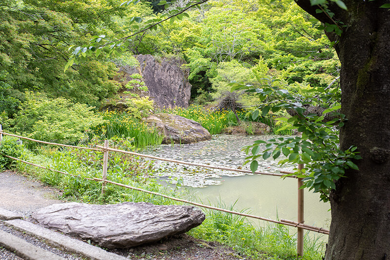 萩野尾御茶屋