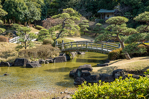 見浜園