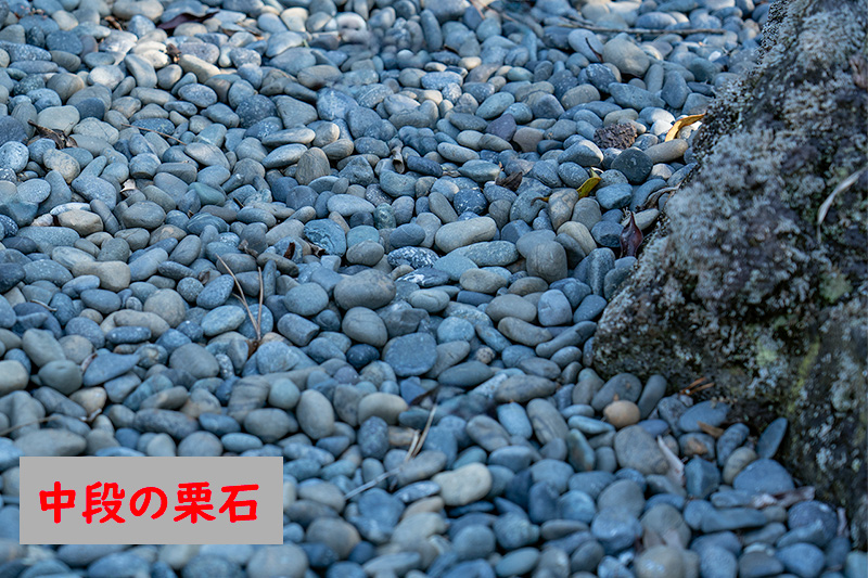 中段