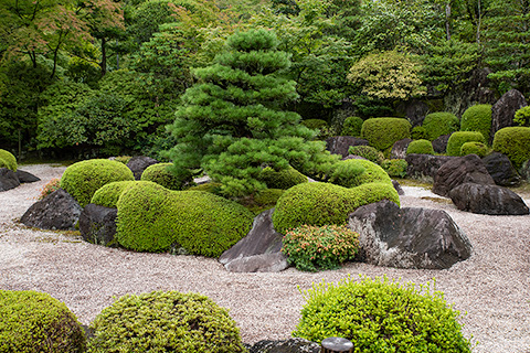 三室戸寺