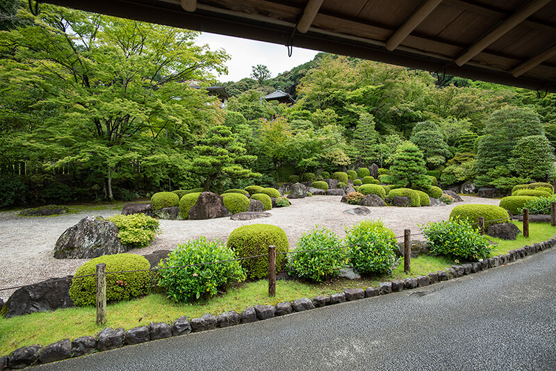 あじさいで有名な三室戸寺