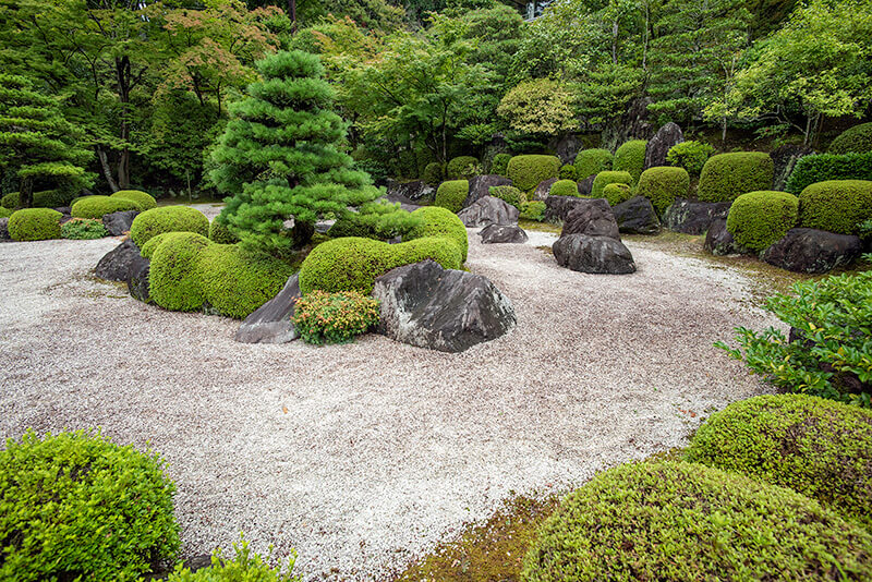 広角レンズで撮影