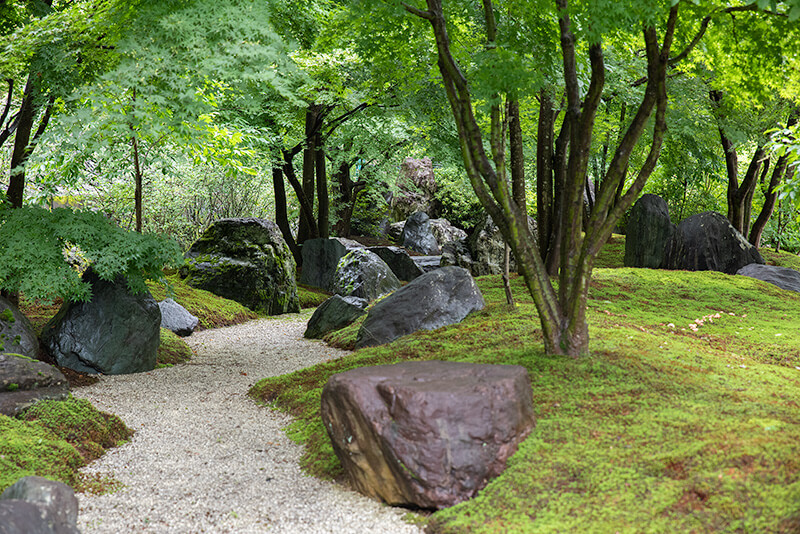 三室戸寺　モミジ園