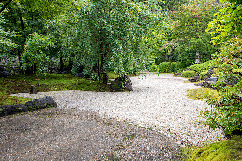 三室戸寺　モミジ園