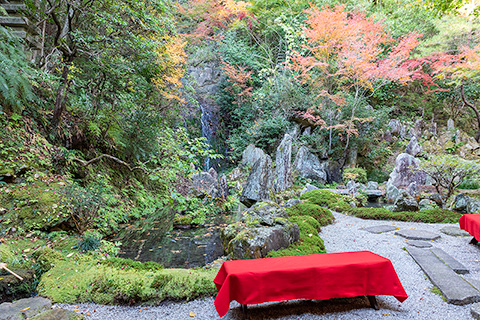 三瀧寺　補陀落の庭