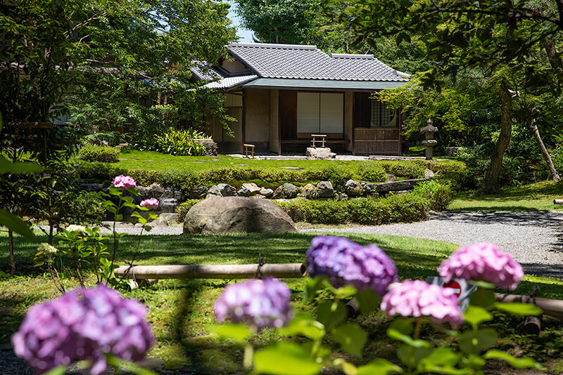あじさい園