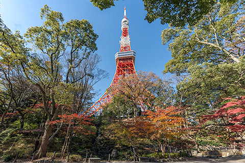 もみじ谷