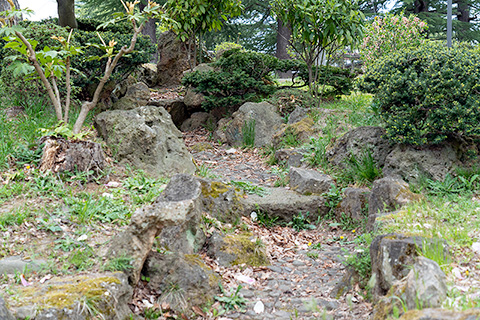 紅葉山公園