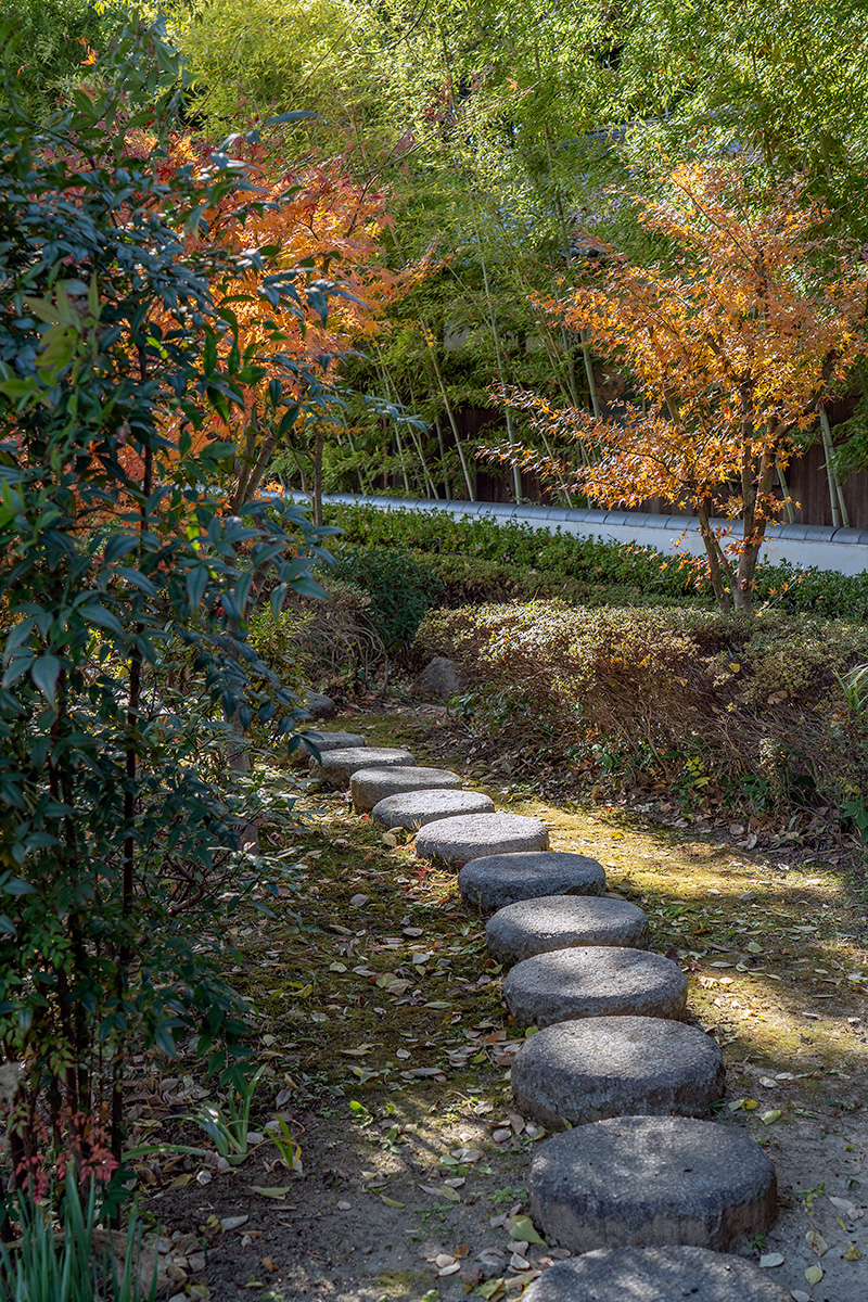苑路