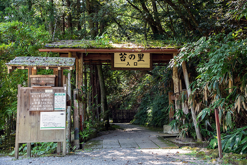苔の里　入口