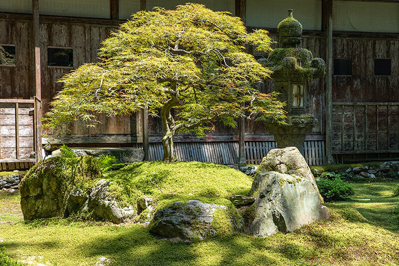 築山に紅葉