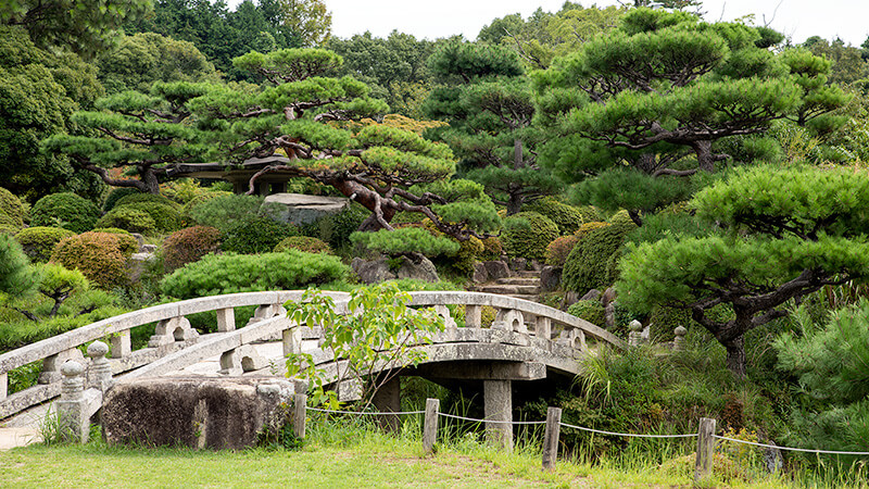 松などの植栽が豊かである