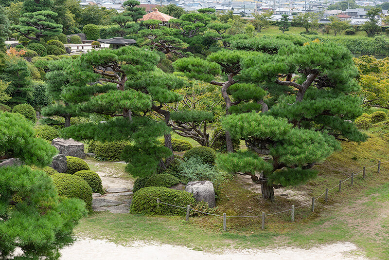 二階書院から庭園を見下ろす
