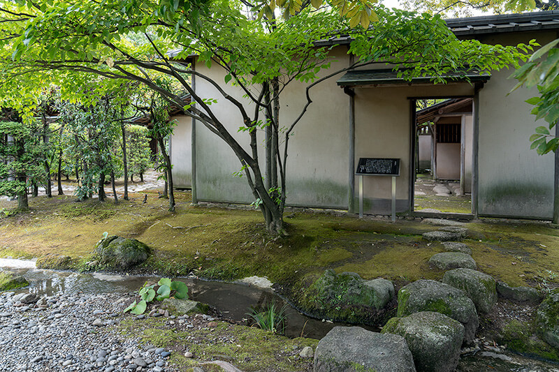 二重露地