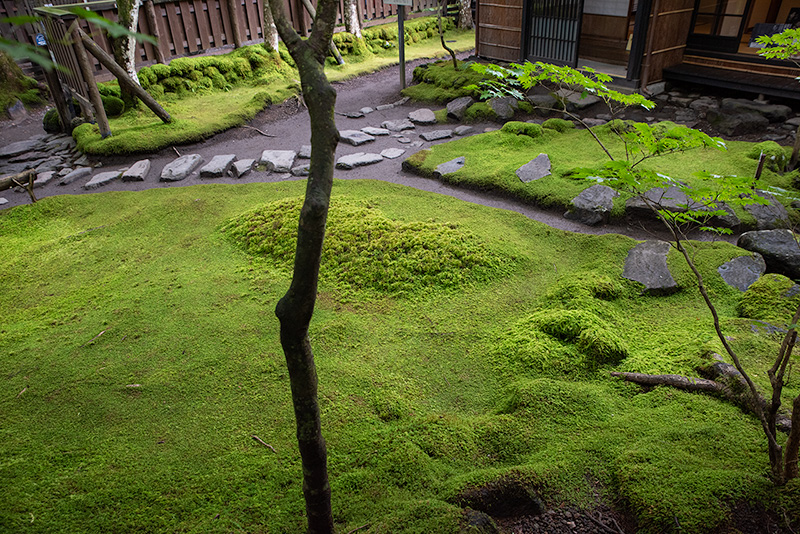 額縁庭園