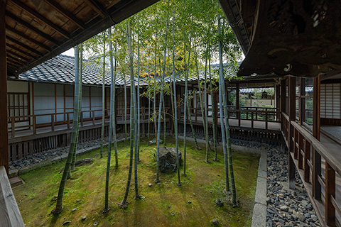 妙顕寺