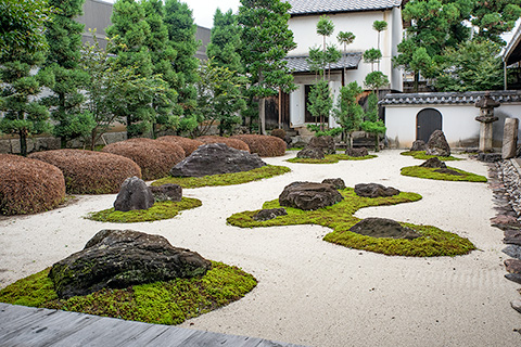 妙蓮寺