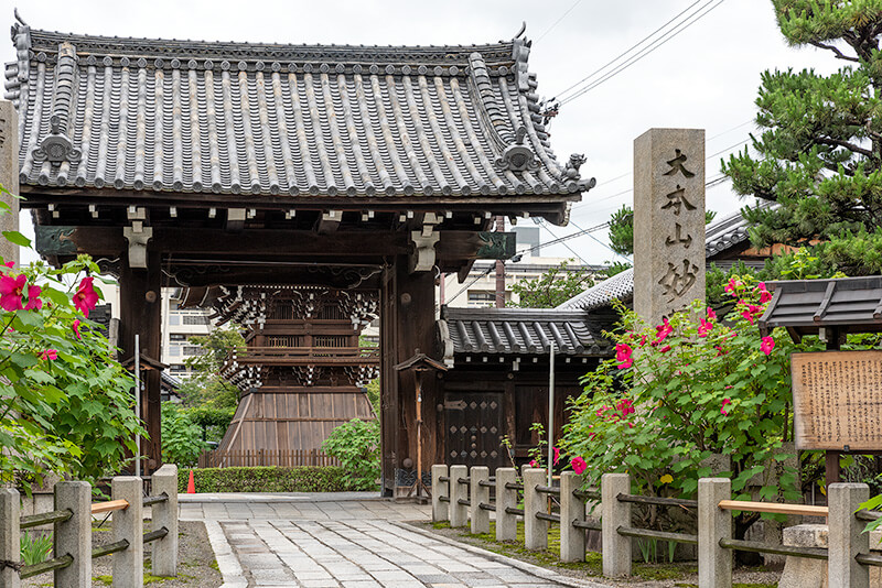 妙蓮寺　山門
