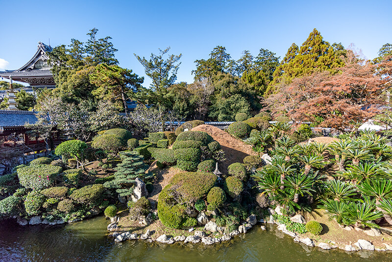 妙厳寺庭園　全景