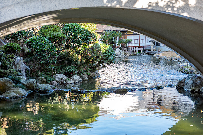 内廊下越しの池泉