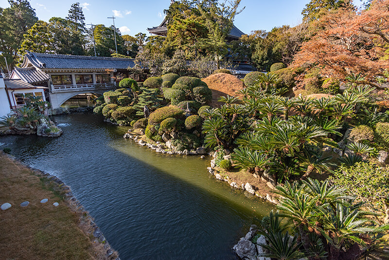 2階から妙厳寺庭園を見下ろす