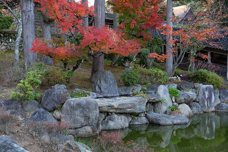 池泉庭園