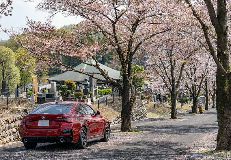 桜とBMW420d xDrive グランクーペ