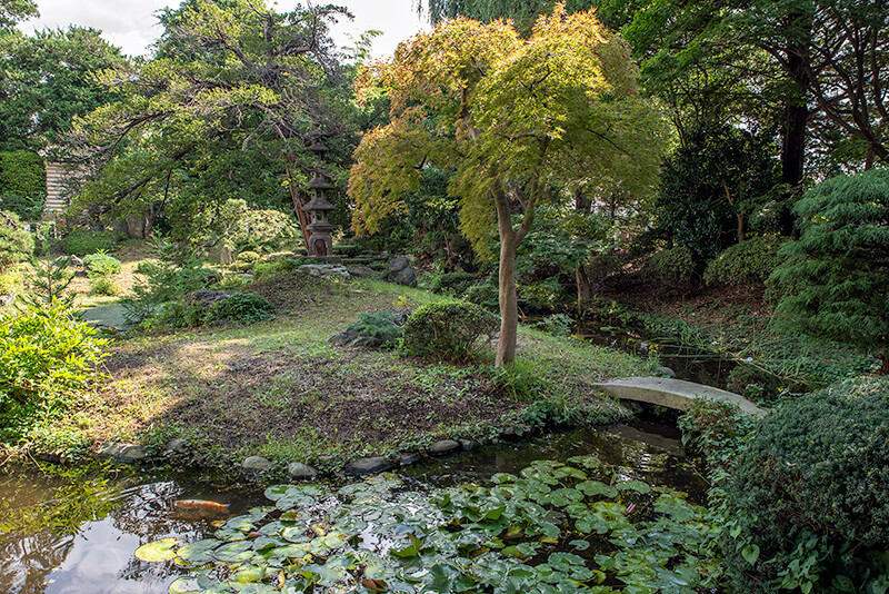 池泉庭園