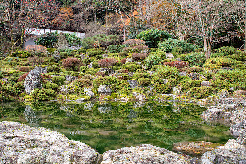 池泉