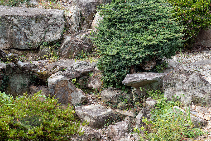 「離れ落ちの形式」の枯滝石組