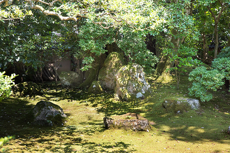 飛石本位の庭に枯山水を配置