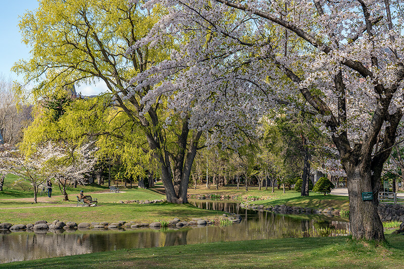 中島公園