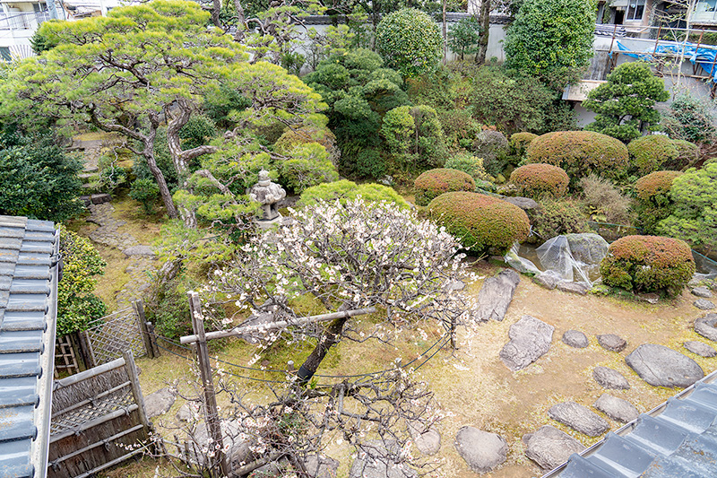2階から庭園を見下ろす