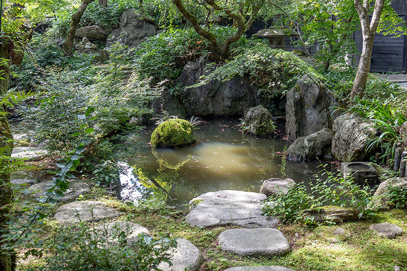 苔付いた岩島