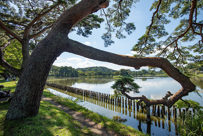 10万坪を越える巨大な公園