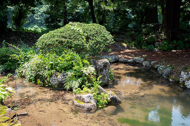 亀島