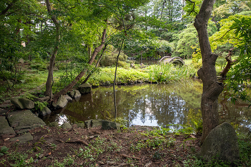 西側の池泉