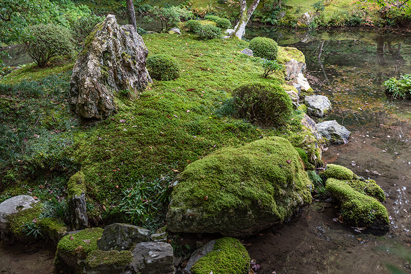 鶴島の鶴羽石を兼ねた蓬莱山