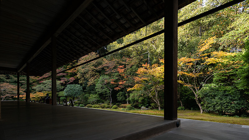 方丈越しの額縁庭園