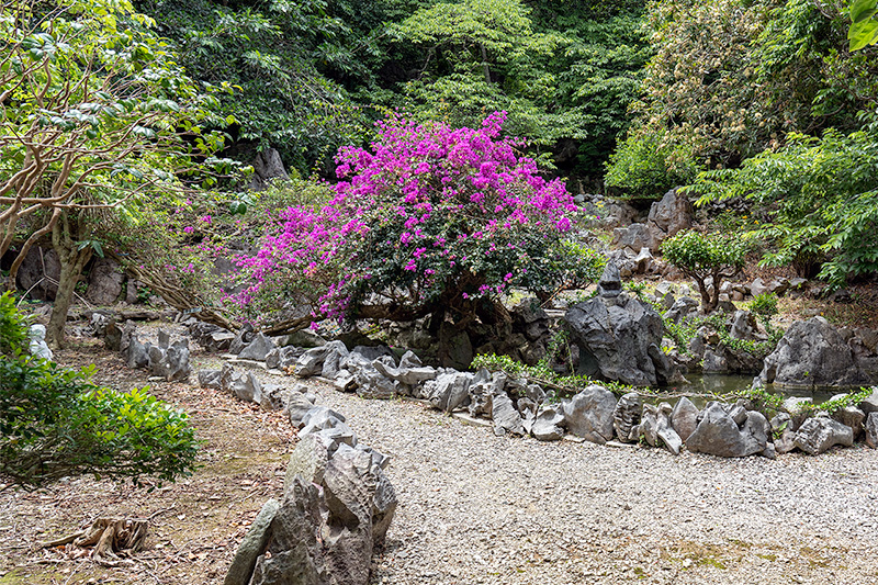 池泉庭園